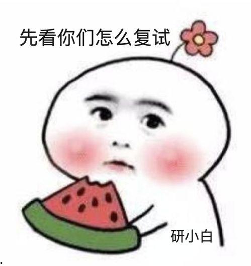 娱乐吃瓜酱浪漫文案,娱乐吃瓜酱的甜蜜文案解析