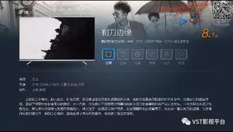 久一国产,崛起之路与辉煌成就